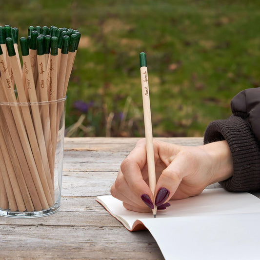 Sprout Wood-Cased Pencils | The world's first patented plantable pencil, 8 count - The Tribalist