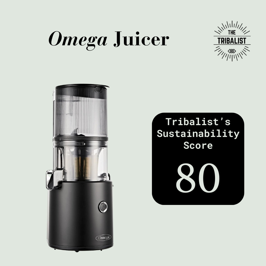 Omega Juicer For Delicious Fruit and Vegetable Recipes