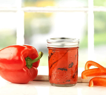 Ball: Regular Mouth Mason Jar With Lid - The Tribalist