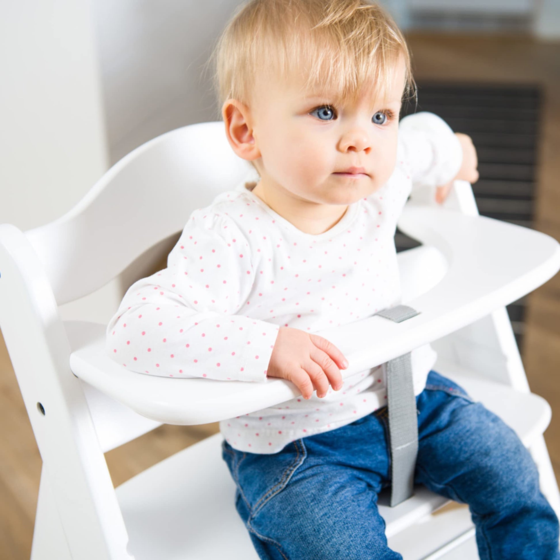 The Tribalist - Hauck Hauck: Alpha+ Grow Along Adjustable Wooden High Chair Seat with 5 Point Harness and Bumper Bar