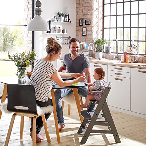 The Tribalist - Hauck Hauck: Alpha+ Grow Along Adjustable Wooden High Chair Seat with 5 Point Harness and Bumper Bar