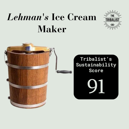 Eco-Friendly Ice Cream Maker