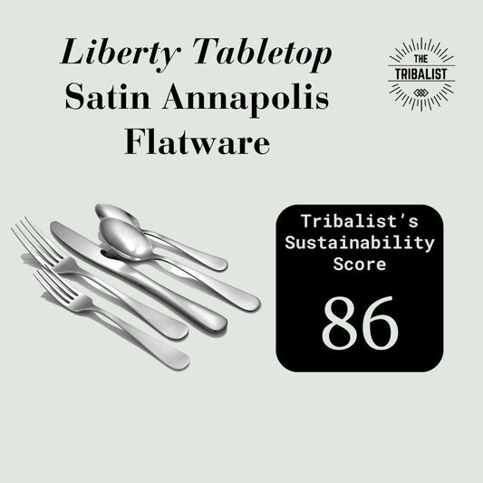 Eco-Friendly Satin Annapolis 45 Piece Flatware set for 8