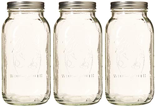 Ball: Wide Mouth Pint Glass Mason Jar with Lids and Bands - The Tribalist