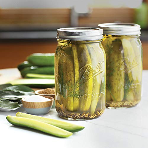 Ball: Wide Mouth Pint Glass Mason Jar with Lids and Bands - The Tribalist