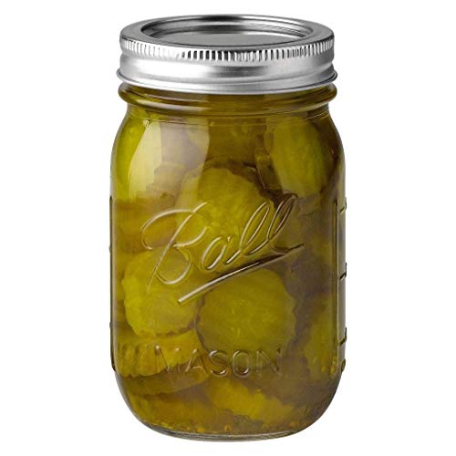 Ball: Regular Mouth Mason Jar With Lid - The Tribalist