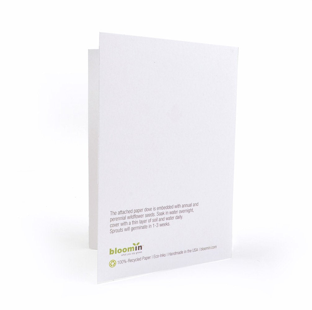 Bloomin: Plantable Seed Paper Greeting Cards - 100% Recycled Paper (Pack of 8) - The Tribalist