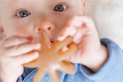 Calmies: 100% Natural Rubber Baby Teether, Plant-Based, BPA-Free & PVC-Free, Supports Sensory Development - The Tribalist