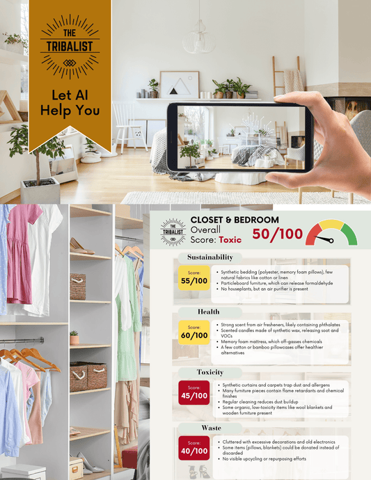 Closet & Bedroom - AI - Powered Room Makeover Plan - The Tribalist