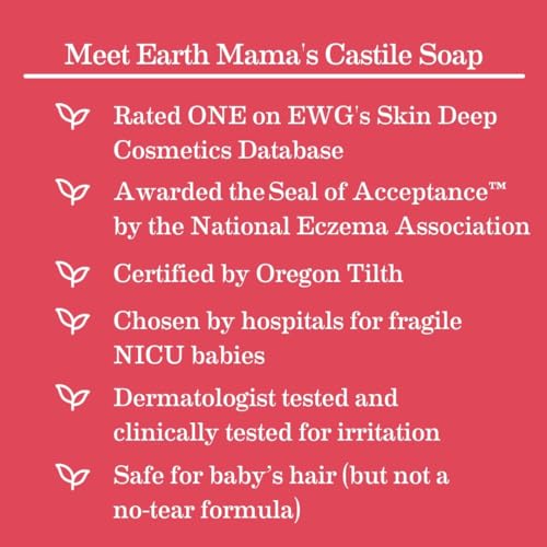 The Tribalist Earth Mama Simply Non-Scents Baby Wash Foaming Hand Soap, Organic All-Purpose Body Wash for Sensitive Skin