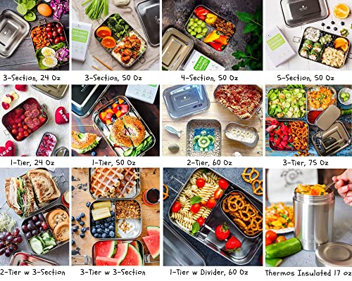 Ecozoi: Leak Proof Stainless Steel Lunch Tin - Eco Bento Box - The Tribalist