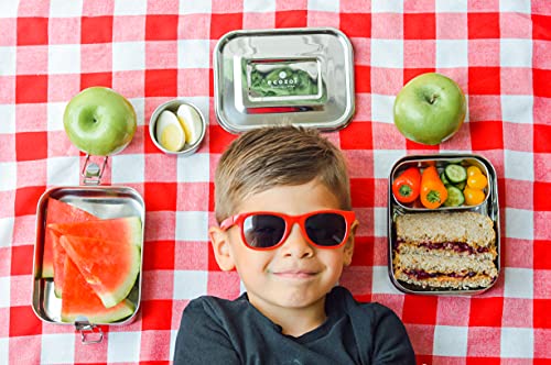 Ecozoi: Leak Proof Stainless Steel Lunch Tin - Eco Bento Box - The Tribalist