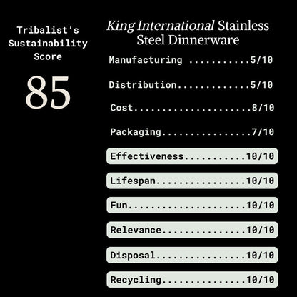 King International: Stainless Steel Dinnerware (50 Pieces) - The Tribalist