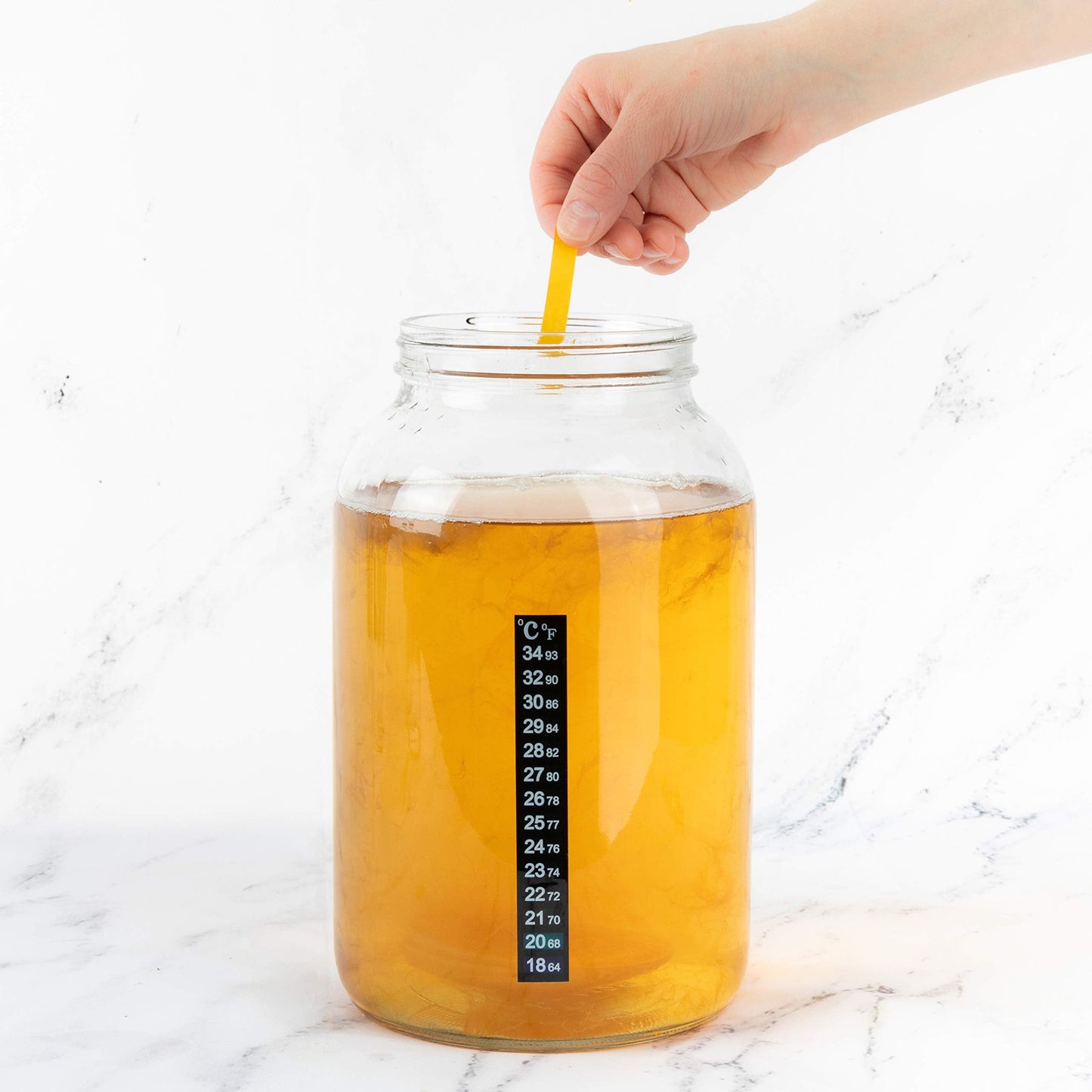 The Tribalist - Kitchentoolz: 1 Gallon Wide Mouth Glass Jar with Metal Lid