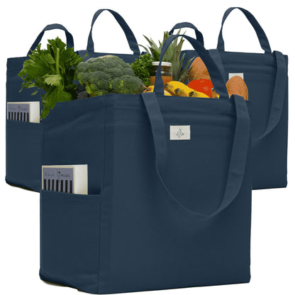 The Tribalist - Nook Theory: Reusable Canvas Grocery Tote Bag (15" x 15" x 10")