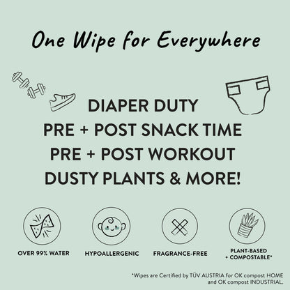 The Tribalist - The Honest Company: Clean Conscious Plant-Based Unscented Wipes