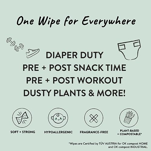 The Tribalist - The Honest Company: Clean Conscious Plant-Based Unscented Wipes