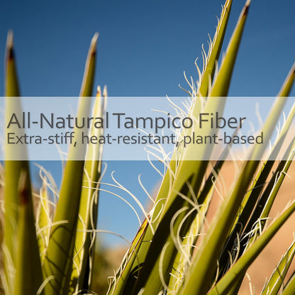 eco-friendly - Tampico Fiber Bristle 2-Inch All-Purpose Kitchen Dish Scrub Brush with Beechwood Handle